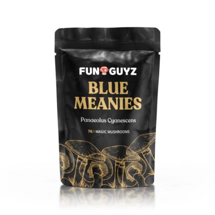Blue Meanies – Magic Mushrooms