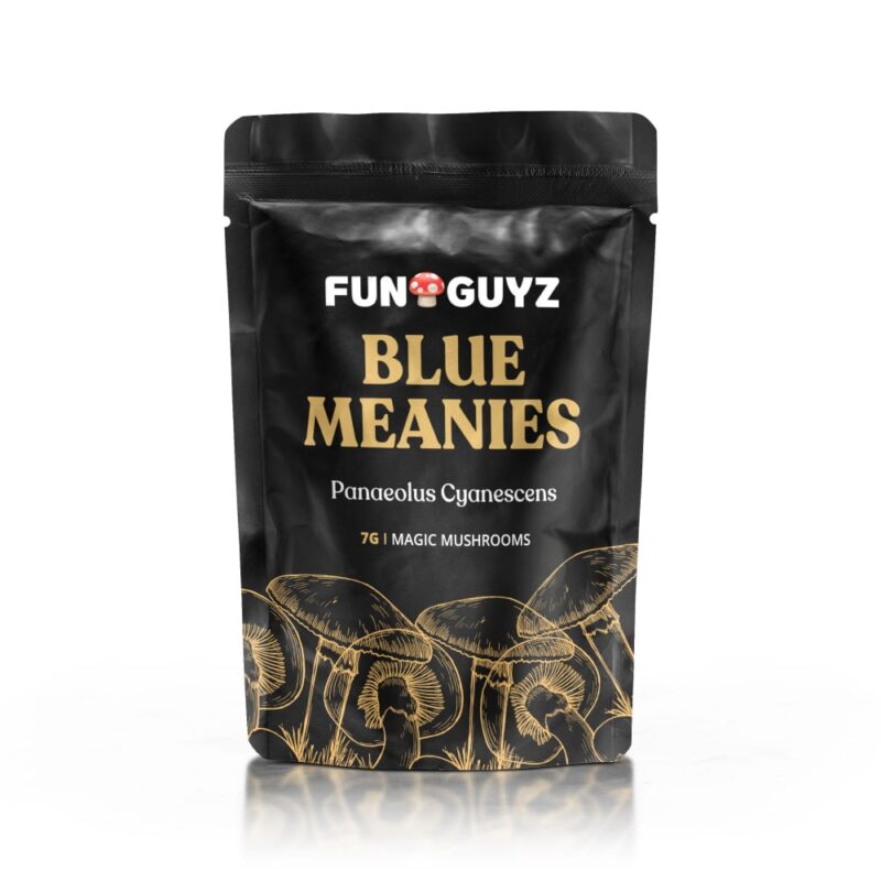 Blue Meanies – Magic Mushrooms