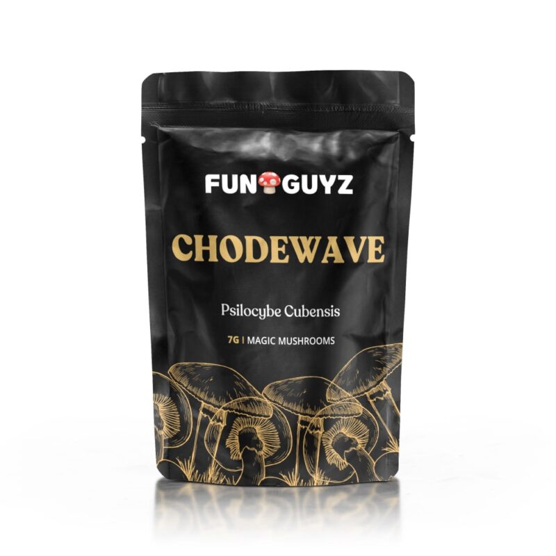 Chodewave – Magic Mushrooms