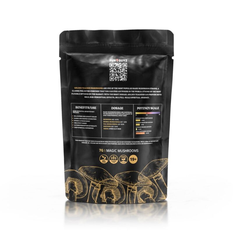 Golden Teacher Magic Mushrooms - Image 3