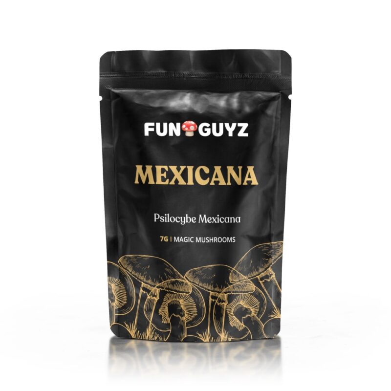 Mexicana – Magic Mushrooms